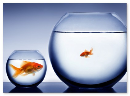 Tùy thuộc vào nhu cầu, khả năng, mong muốn mà mỗi cá nhân có sự lựa chọn phù hợp nhất với bản thân mình.