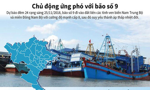 Ba tỉnh Đông Nam Bộ lên phương án ứng phó bão số 9 ảnh 8 Ba tỉnh Đông Nam Bộ lên phương án ứng phó bão số 9 ảnh 8