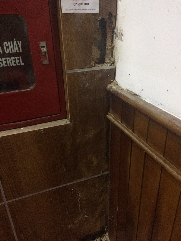 Mối cắn nát nhiều hạng mục của Nhà văn hóa 45 tỷ ảnh 6