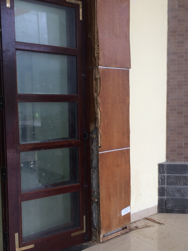 Mối cắn nát nhiều hạng mục của Nhà văn hóa 45 tỷ ảnh 2