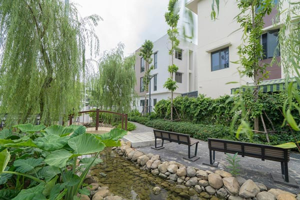 Sống xanh giữa cơn lốc đô thị hóa ảnh 2