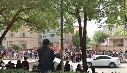 Hồ sơ chạy đua nhập học: Dân mạng chỉ trích tố áp lực ảnh 1