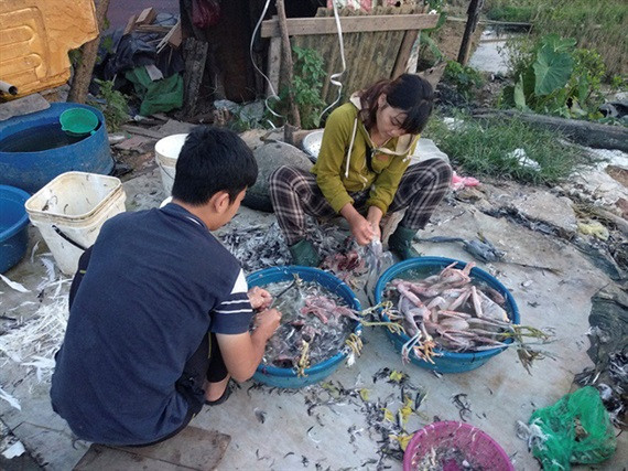 Chợ chim hoang dã ngay sát nách đại lộ Thăng Long ảnh 1