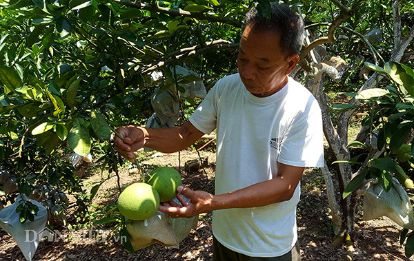 Lớp học tiếng Anh miễn phí của thầy giáo làng mê bưởi Diễn ảnh 3