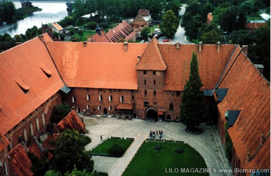Lâu đài Malbork nổi tiếng nhất Ba Lan rộng 143.591 m2, được xây hoàn toàn bằng gạch theo phong cách kiến trúc Gôtích lớn nhất thế giới. Mehrangarh Fort rộng 81.227 m2, một pháo đài hàng nghìn năm tuổi tại Ấn Độ. Bao quanh là bức tường kiên cố có chiều dày 6m, bên trong là cung điện nguy nga với kiến trúc tinh xảo. Tại đây, bạn có thể thấy nhiều hiện vật lịch sử của những vị vua. Prague Castle rộng 66.761 m2 là lâu đài thời trung cổ lớn nhất ở châu Âu và là nơi ngự trị cổ xưa của các vị vua Séc trong suốt các thời đại. Đây là quần thể các tòa nhà, cung điện, thánh đường lộng lẫy và được xem là biểu tượng của cộng hòa Séc. Windsor Castle rộng 54.835 m2, là lâu đài lớn nhất, lâu đời nhất thế giới và là niềm tự hào lịch sử nước Anh. Lâu đài Hohensalzburg rộng 54523 m2 nằm tại thành phố Salzburg, Áo. Spis Castle rông 49485 m2 là một trong những lâu đài thời Trung cổ lớn nhất ở trung tâm châu Âu, tại miền đông Slovak Buda Castle rộng 44.674 m2 là lâu đài lịch sử của các vị vua Hungary tại Budapest. Himeji Castle rộng 41.468 m2 nằm ở trung tâm của thành phố Himeji, Nhật Bản. Thành cổ Aleppo rộng 39.804 m2, được coi là niềm tự hào của sa mạc, thành cổ Aleppo là một trong những lâu đài nổi tiếng nhất trong thế giới Ả Rập.