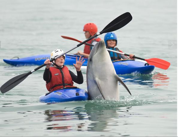 "Cô" ấy rất thích nô đùa gần xuồng cadiac.