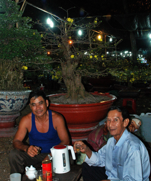 Sững sờ trước những cây mai tiền tỷ tại chợ hoa đêm ảnh 6