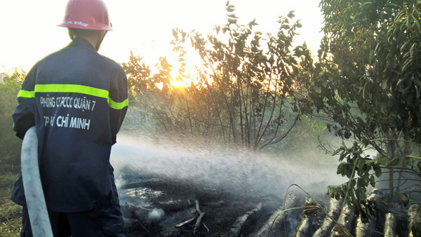 TPHCM: Liên tục cháy cánh đồng giữa khu dân cư quận 7 ảnh 7