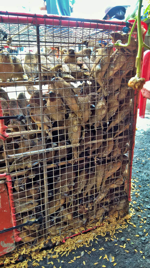 Nét văn hóa ngày rằm tháng Giêng của người TPHCM ảnh 6