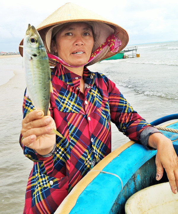 Ngư dân Vũng Tàu trúng đậm 'lộc biển' đầu năm ảnh 3