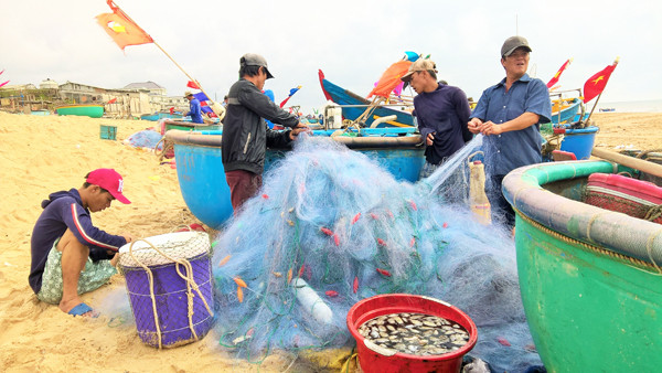 Ngư dân Vũng Tàu trúng đậm 'lộc biển' đầu năm ảnh 11