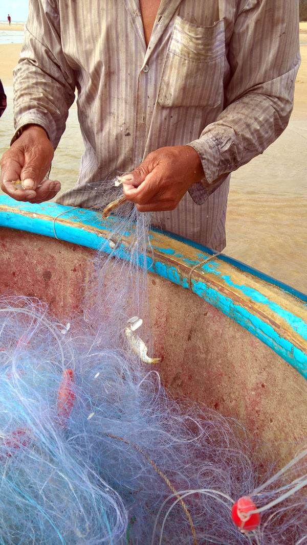 Ngư dân Vũng Tàu trúng đậm 'lộc biển' đầu năm ảnh 2