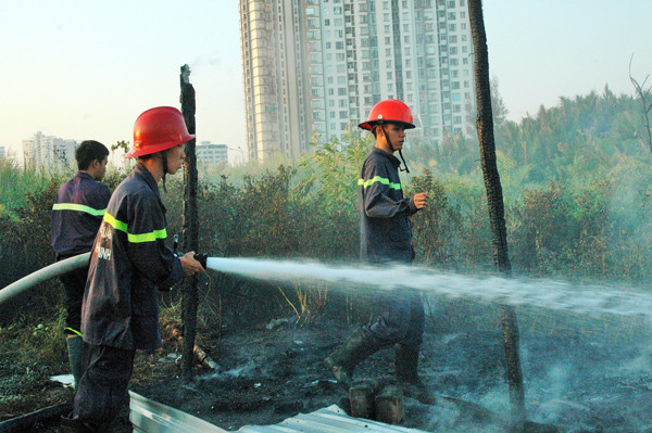 TPHCM: Liên tục cháy cánh đồng giữa khu dân cư quận 7 ảnh 8