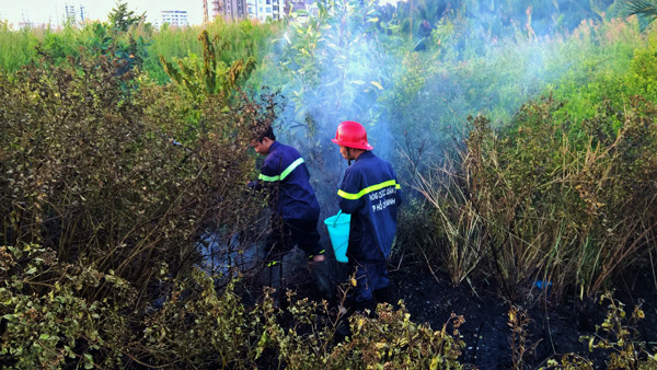 TPHCM: Liên tục cháy cánh đồng giữa khu dân cư quận 7 ảnh 2