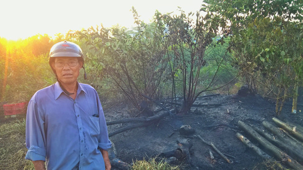 TPHCM: Liên tục cháy cánh đồng giữa khu dân cư quận 7 ảnh 5