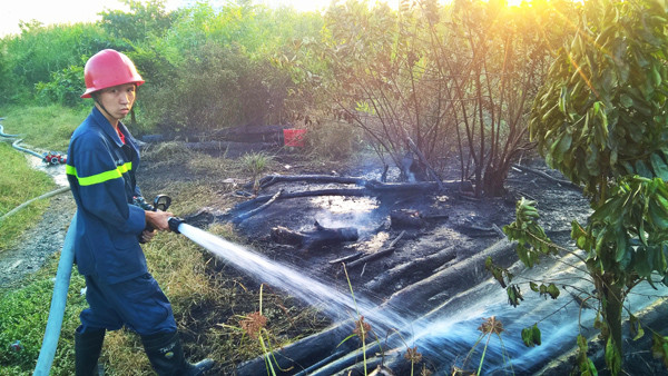 TPHCM: Liên tục cháy cánh đồng giữa khu dân cư quận 7 ảnh 6