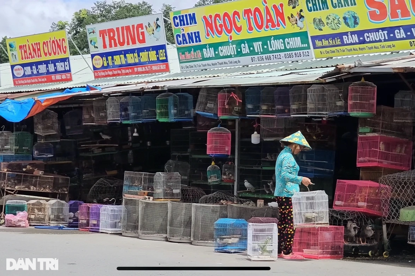 Chợ nông sản Thạnh Hóa hay còn gọi là "địa ngục chim trời" (Ảnh: Bảo Trân). Chợ nông sản Thạnh Hóa hay còn gọi là "địa ngục chim trời" (Ảnh: Bảo Trân).