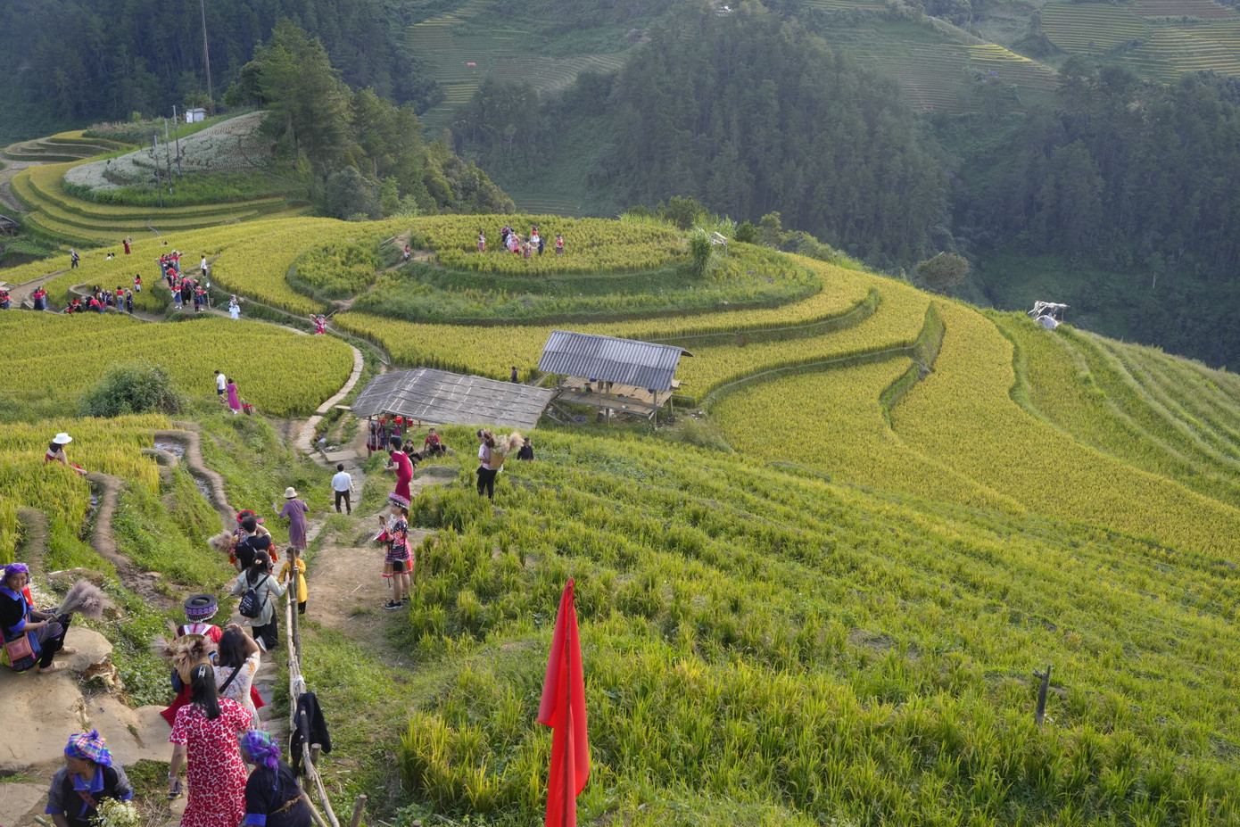 Du khách nườm nượp kéo về Mù Cang Chải (Ảnh: Tuấn Anh)