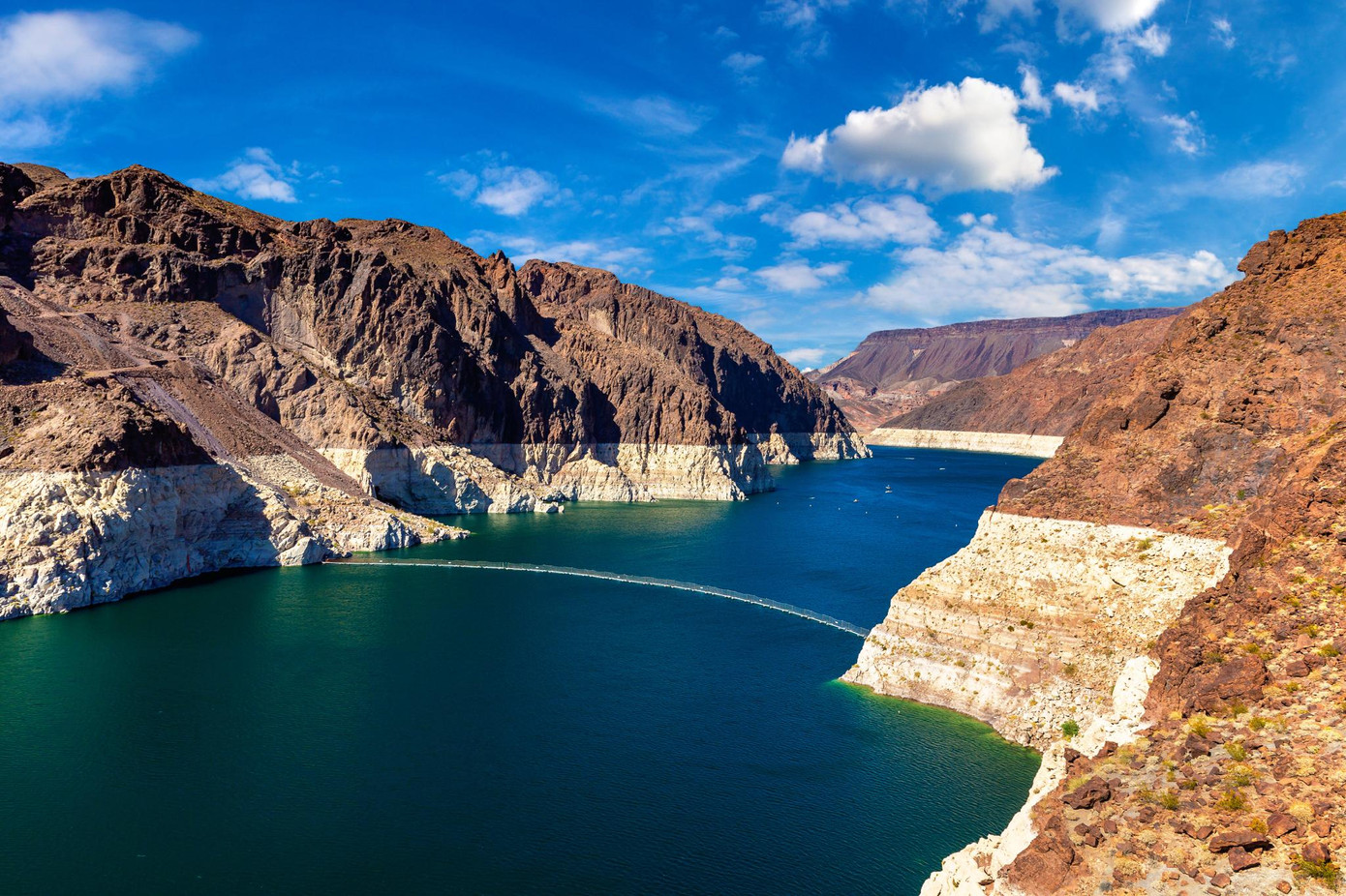Sinh vật ăn não được tìm thấy ở các suối nước nóng bên dưới đập Hoover Dam.