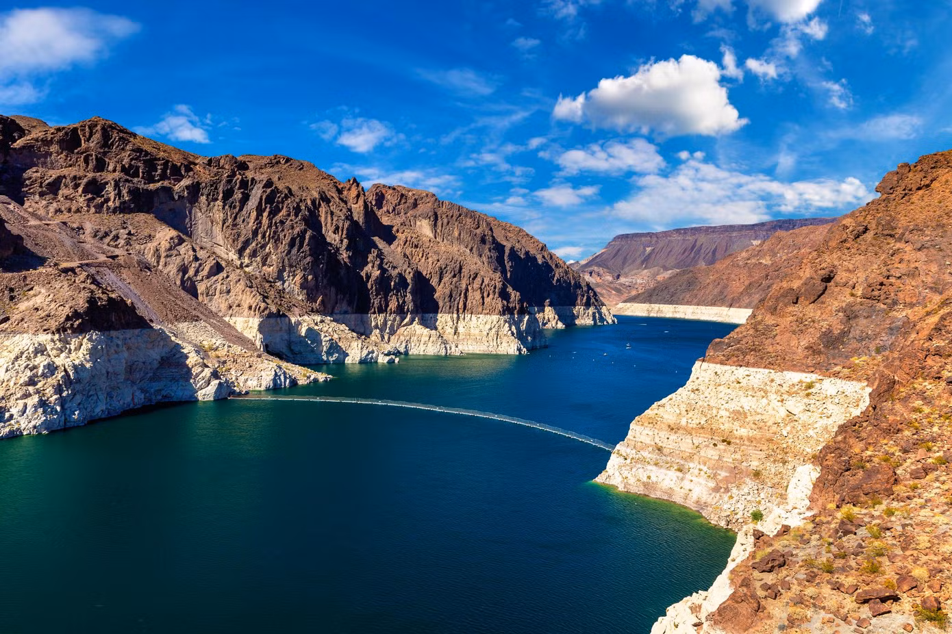 Sinh vật ăn não được tìm thấy ở các suối nước nóng bên dưới đập Hoover Dam. Sinh vật ăn não được tìm thấy ở các suối nước nóng bên dưới đập Hoover Dam.
