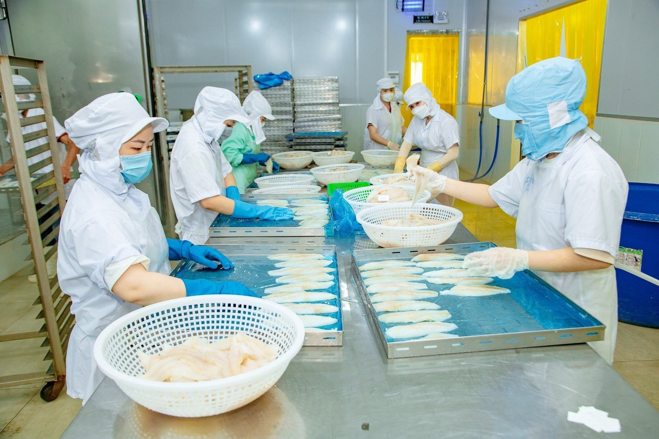 Chế biến sản phẩm thủy sản tại một công ty ở TP Cần Thơ (Ảnh: CT). Chế biến sản phẩm thủy sản tại một công ty ở TP Cần Thơ (Ảnh: CT).