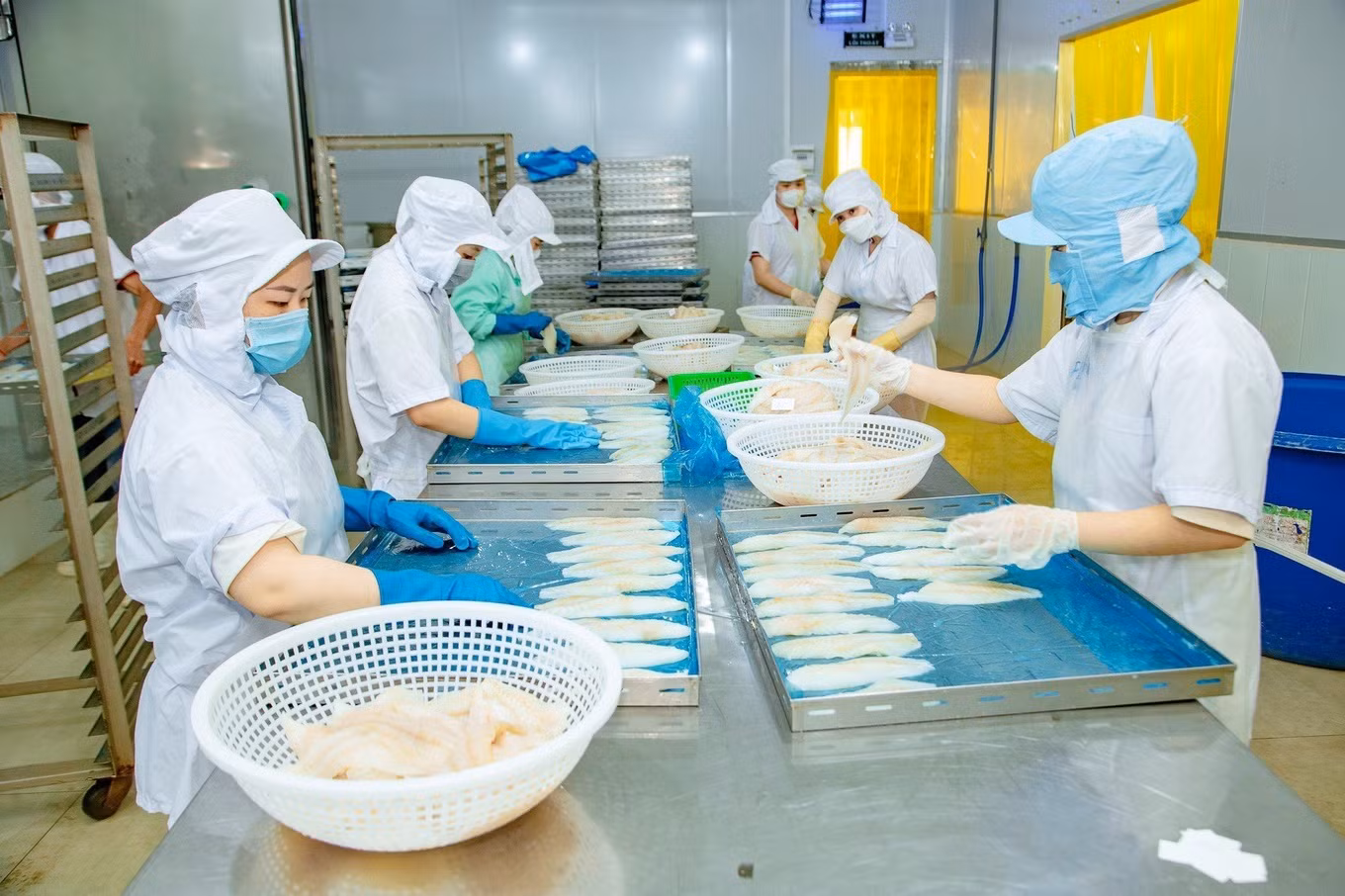 Chế biến sản phẩm thủy sản tại một công ty ở TP Cần Thơ (Ảnh: CT). Chế biến sản phẩm thủy sản tại một công ty ở TP Cần Thơ (Ảnh: CT).
