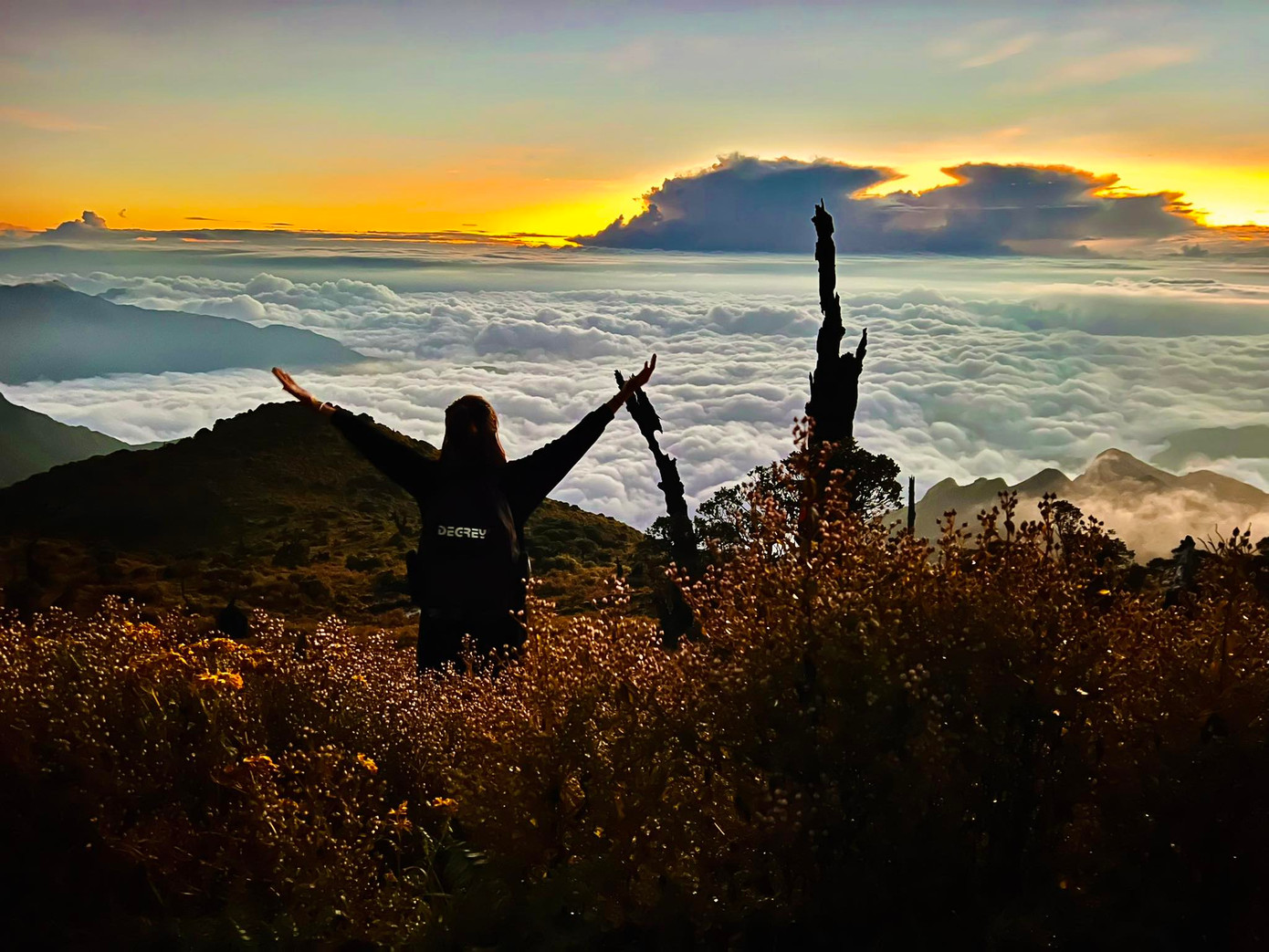 Tà Xùa, Sapa là một trong những điểm "săn mây" hút khách tết dương lịch 2024. Ảnh: Thu Ng.