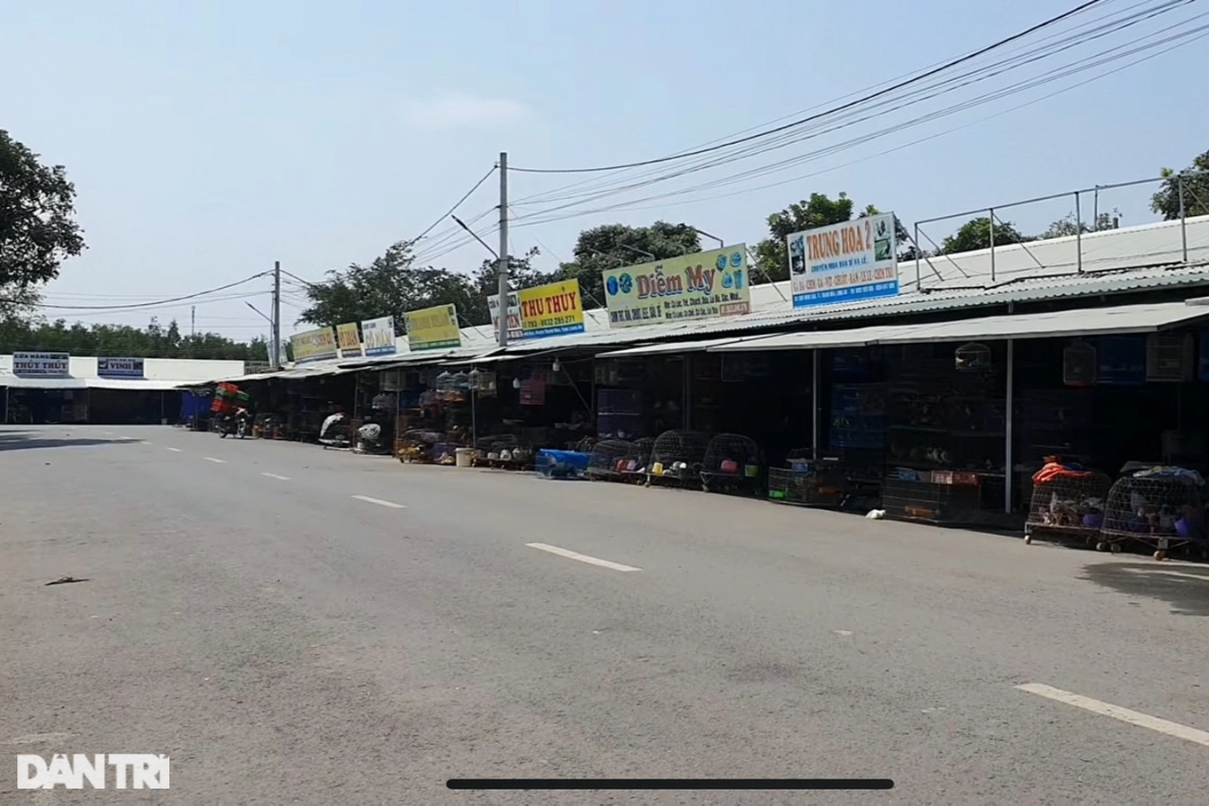 Cảnh đìu hiu tại chợ chim trời lớn nhất miền Tây hiện nay (Ảnh: Bảo Trân). Cảnh đìu hiu tại chợ chim trời lớn nhất miền Tây hiện nay (Ảnh: Bảo Trân).