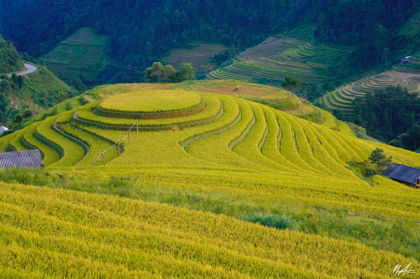 Điểm thu hút khách du lịch nhất là di tích quốc gia đặc biệt ruộng bậc thang Mù Cang Chải, một kiệt tác về nghệ thuật canh tác trên đất dốc. Địa danh này được nhiều tạp chí du lịch trong nước và quốc tế nhận định trở thành một trong những điểm đến rực rỡ nhất thế giới (Ảnh: Tuấn Anh).