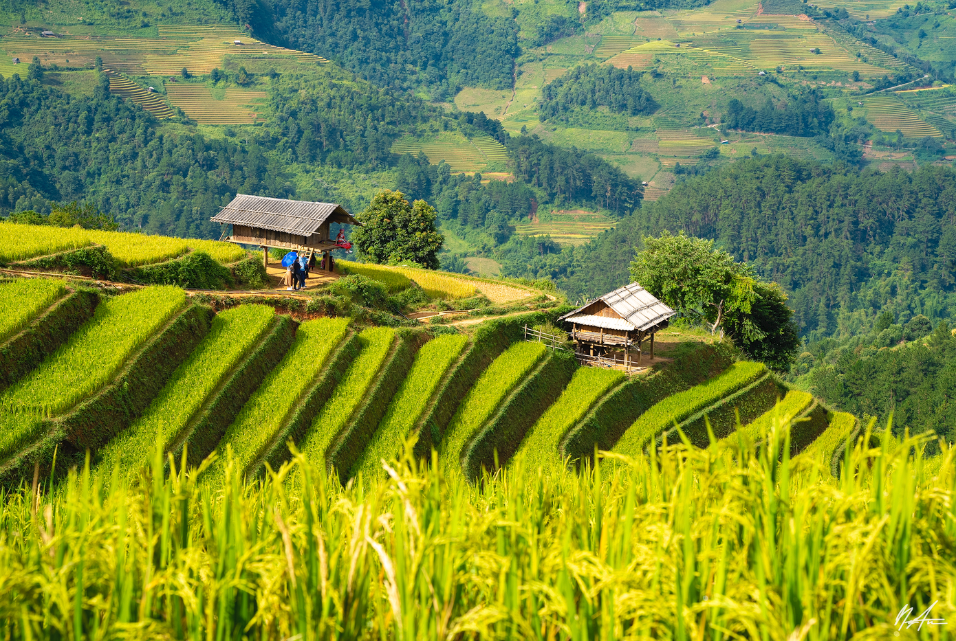 Mù Cang Chải đẹp như tranh vẽ (Ảnh: Tuấn Anh).