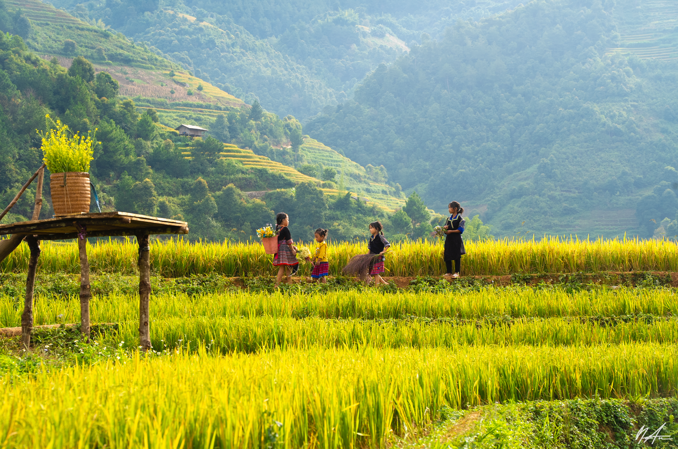 (Ảnh: Tuấn Anh).