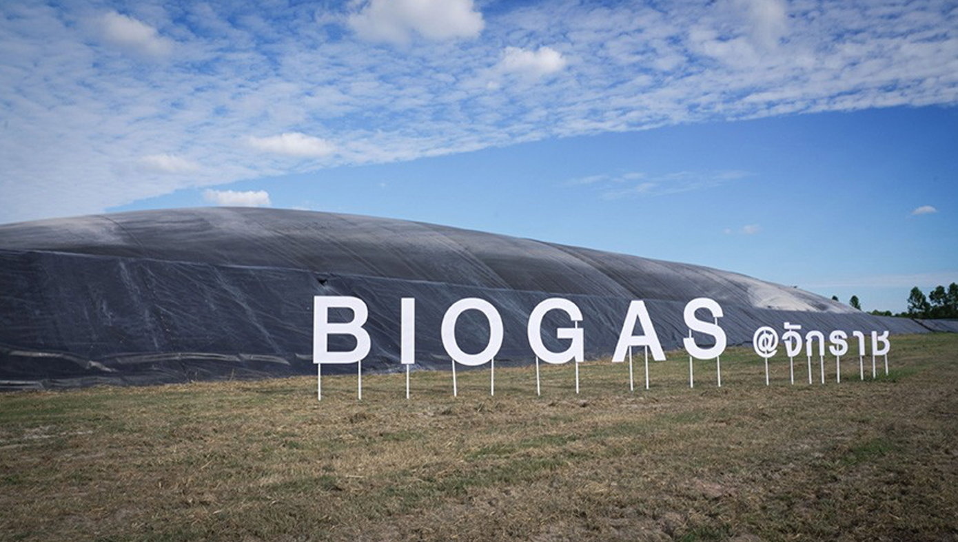Khí sinh học từ trang trại gia cầm của CP ở Thái Lan. Khí sinh học từ trang trại gia cầm của CP ở Thái Lan.