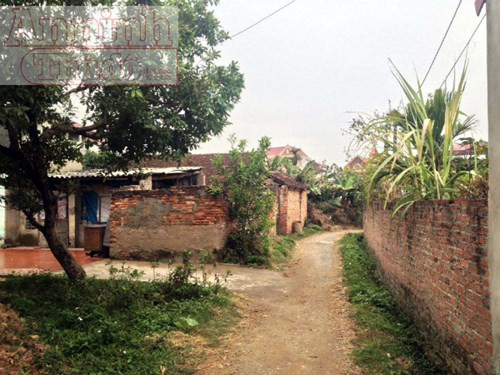 Thấy "phim trường King Kong 2" lại nuối tiếc "làng Hollywood" Việt ảnh 7