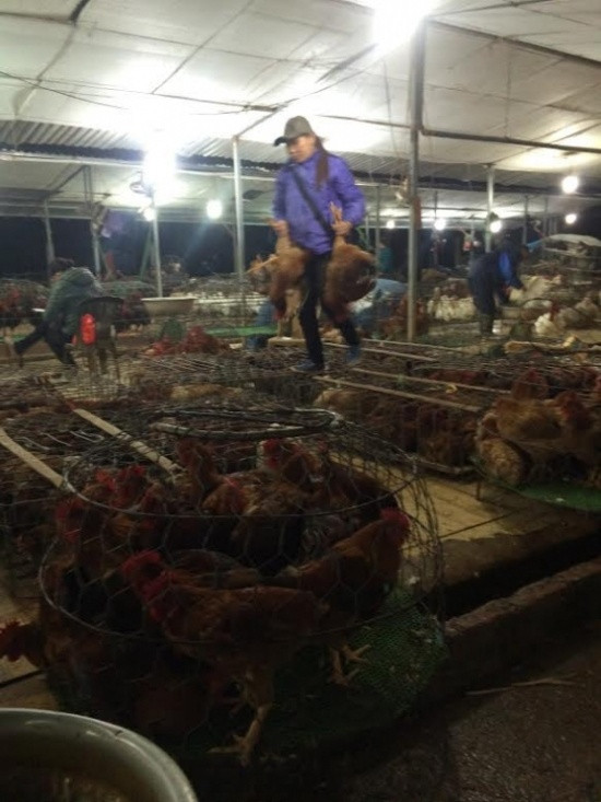 Chợ bí ẩn nhất Hà Nội: Bán gà không kêu, mổ cá không tanh ảnh 1
