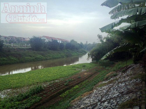 Thấy "phim trường King Kong 2" lại nuối tiếc "làng Hollywood" Việt ảnh 5