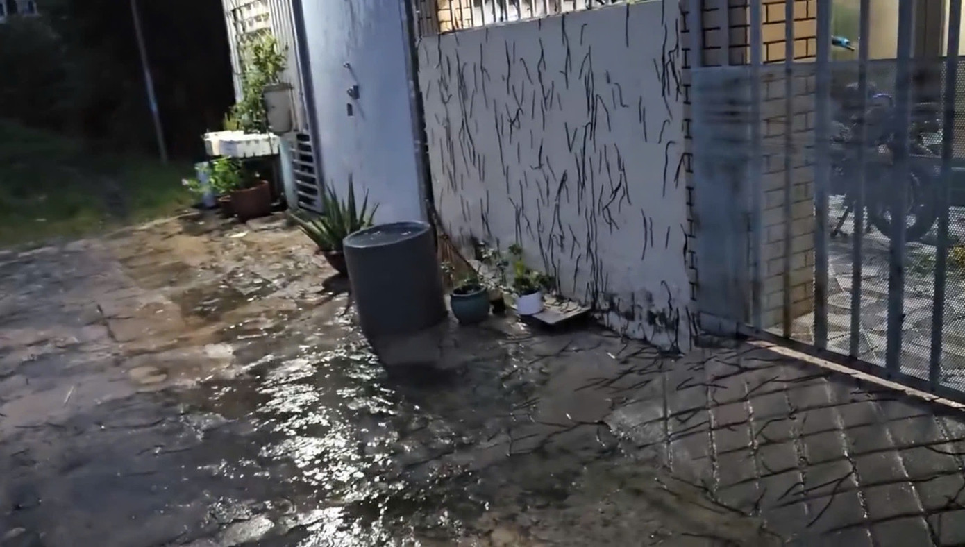 Giun xuất hiện chi chít trước nhà người dân và đeo bám cả lên tường. Ảnh cắt từ clip