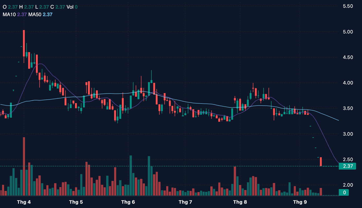 Cổ phiếu TGG đang ở mức 2.370 đồng/đơn vị. Cổ phiếu TGG đang ở mức 2.370 đồng/đơn vị.