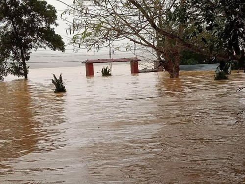 Báo Tiền Phong kêu gọi ủng hộ đồng bào bị lũ lụt ảnh 2