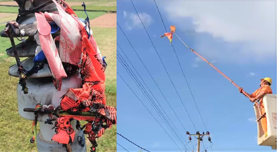 Thả diều gây sự cố điện bị phạt tiền theo quy định của Chính phủ Thả diều gây sự cố điện bị phạt tiền theo quy định của Chính phủ