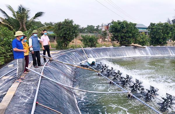 Nguồn vốn chính sách giúp các hộ dân đầu tư nuôi trồng thủy sản, phục hồi kinh tế sau đại dịch