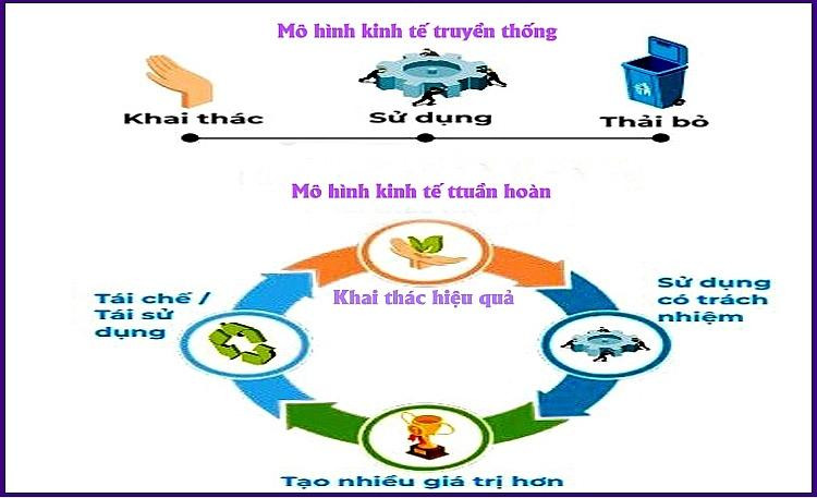 Sự khác nhau giữa mô hình kinh tế tuần hoàn và kinh tế tuyến tính. Sự khác nhau giữa mô hình kinh tế tuần hoàn và kinh tế tuyến tính.