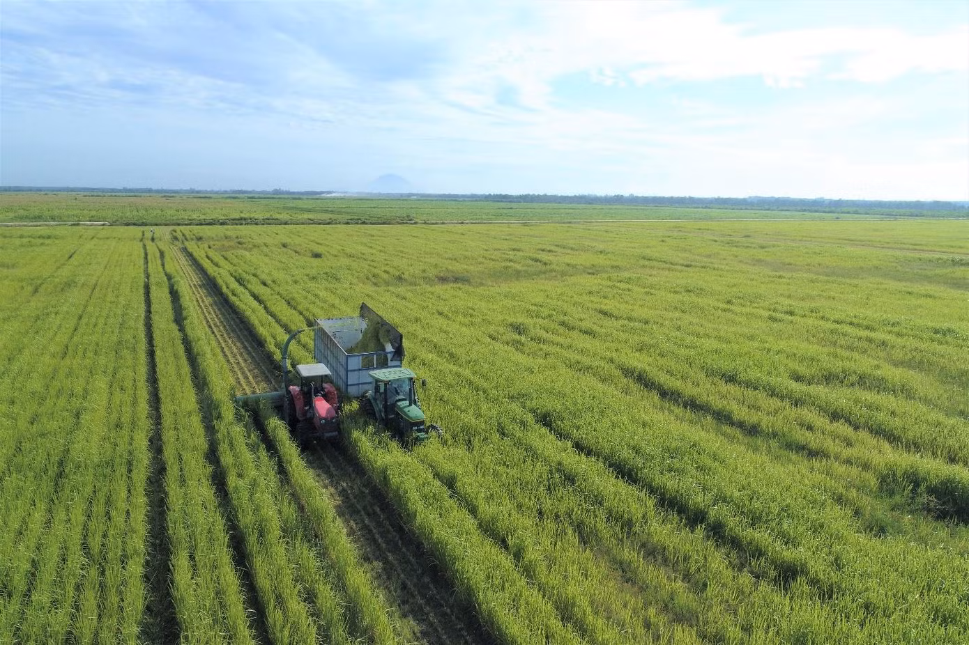 Trang trại Vinamilk Green Farm ứng dụng kỹ thuật canh tác tiên tiến giúp nguồn đất tại trang trại luôn màu mỡ và giàu dinh dưỡng.