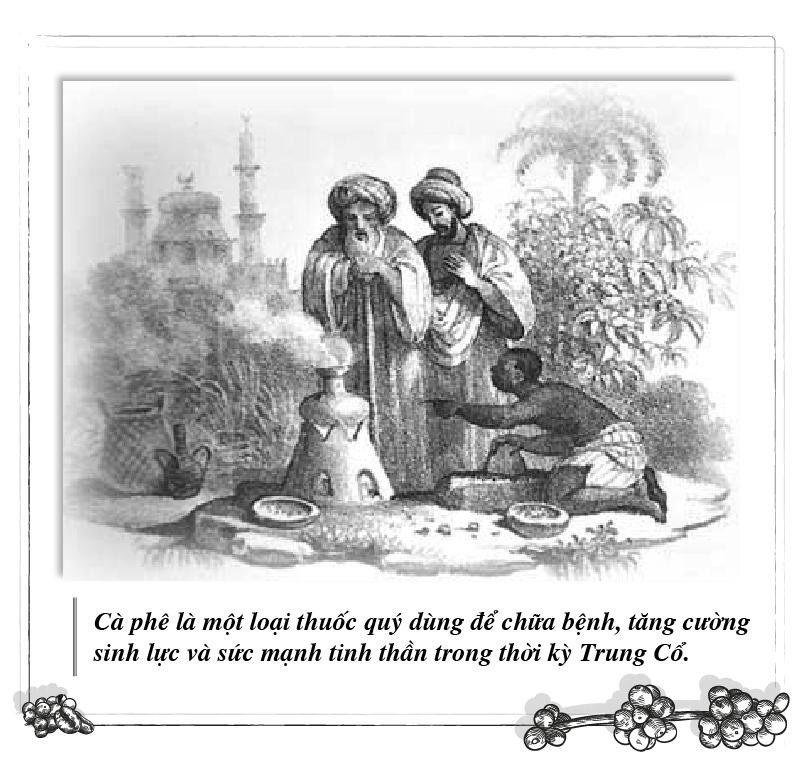Kỳ 87: Avicenna Bukhara – Cà phê tăng cường sinh lực và sức mạnh tinh thần ảnh 3