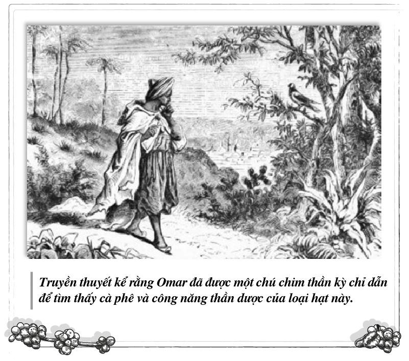 Kỳ 87: Avicenna Bukhara – Cà phê tăng cường sinh lực và sức mạnh tinh thần ảnh 2