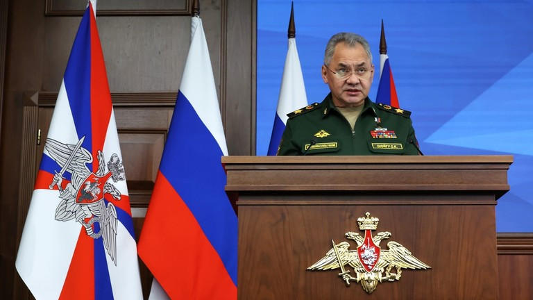 Bộ trưởng Quốc phòng Nga Sergey Shoigu. Ảnh: Sputnik