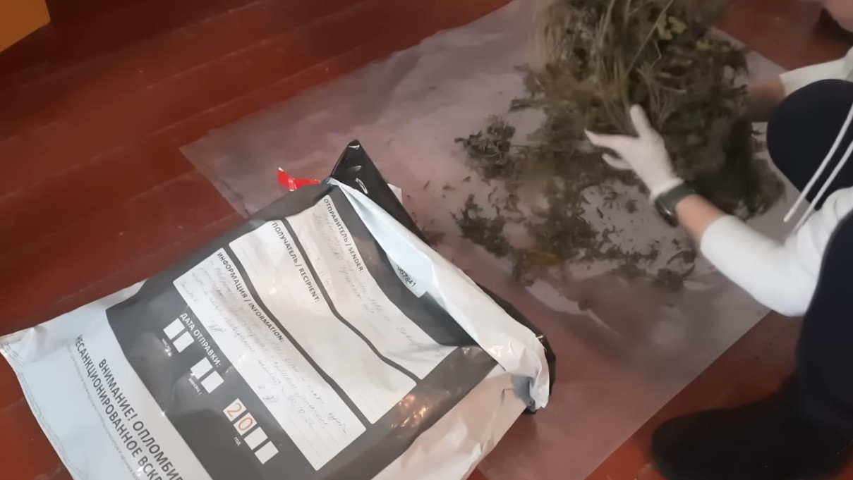 Số cần sa bị thu giữ tại hiện trường. Ảnh chụp màn hình Số cần sa bị thu giữ tại hiện trường. Ảnh chụp màn hình