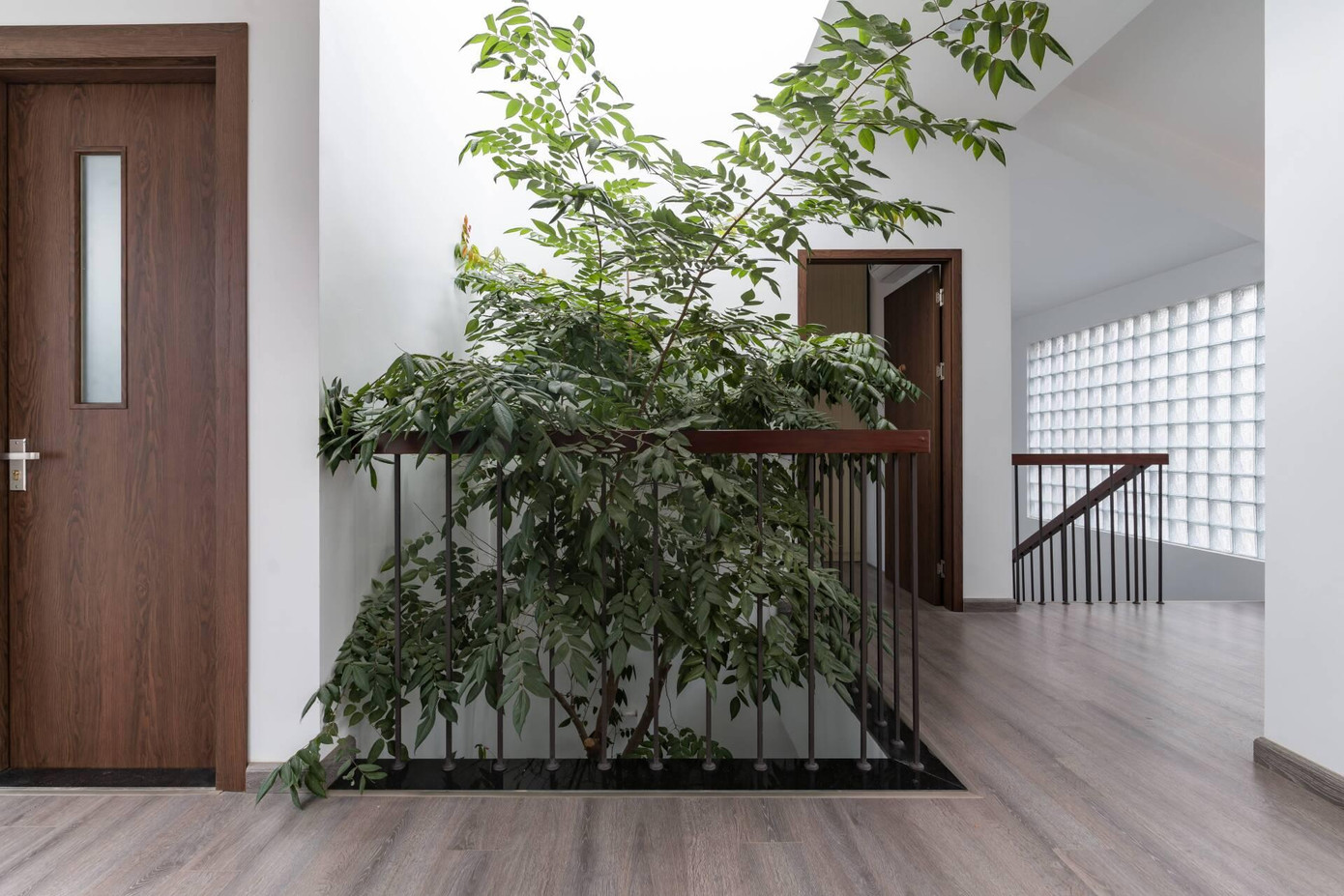 Để không khí trong nhà được luân chuyển đối lưu giữa các tầng nhà, KTS đã bố trí một khoảng thông tầng. Khoảng thông tầng không chỉ giúp cho không gian mát mẻ hơn, cung cấp đủ ánh sáng tự nhiên mà còn là nơi bố trí cây xanh để điều hòa khí hậu toàn bộ ngôi nhà.