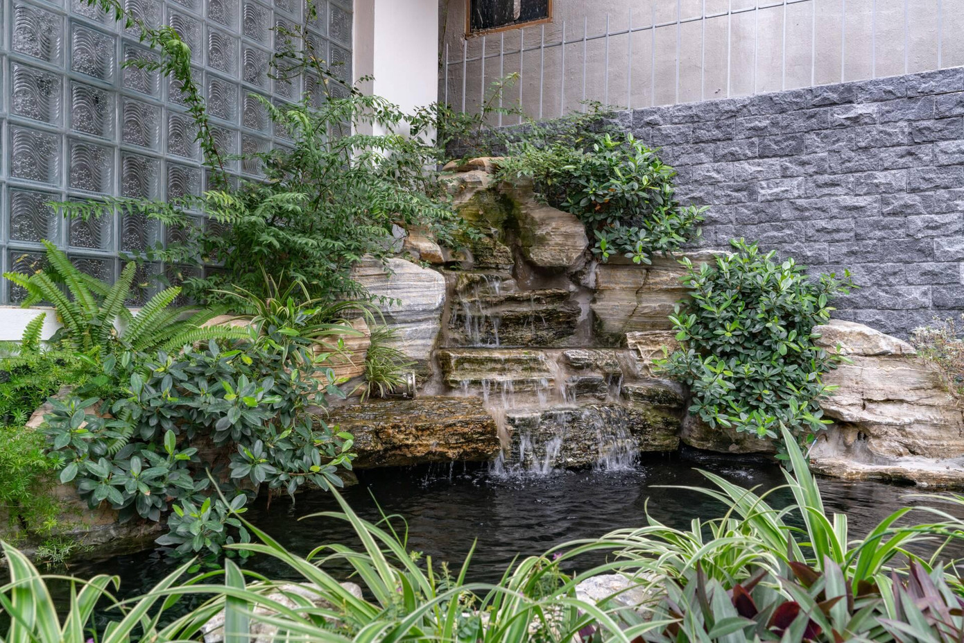 Hồ cá Koi trong nhà.