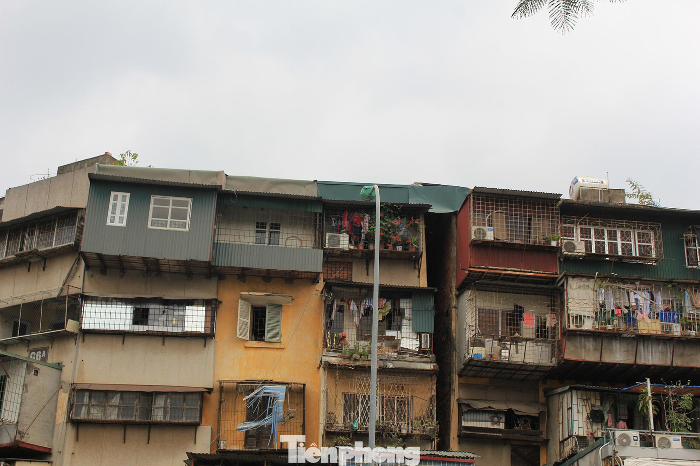 Tuy nhiên, ghi nhận ở thời điểm hiện tại nhà G6A tập thể Thành Công nằm trên mặt đường Nguyên Hồng, (phường Thành Công, quận Ba Đình) vẫn còn rất nhiều hộ dân sinh sống, kinh doanh.