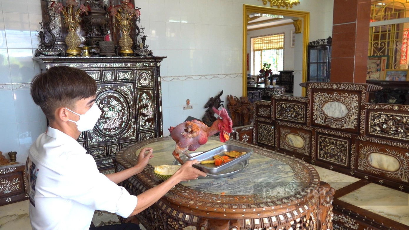 Một trong những loại trái cây mà "con gà khỏa thân" thích ăn là sầu riêng thơm ngon. Ảnh: Bảo Phong.